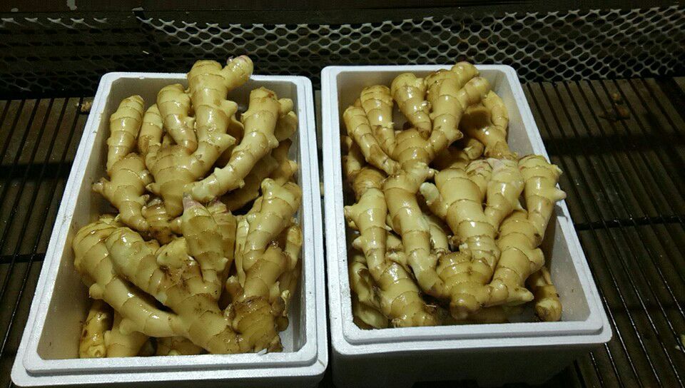 一个明亮的超市货架上整齐摆放着不同品牌的预包装姜面产品,包括干制姜面条、速食姜面杯、姜粉调料包和冷冻姜面盒,部分包装标注‘驱寒暖胃’‘非遗工艺’等字样,背景有消费者选购画面,体现商品市场化趋势 超市货架上的多种姜面及相关产品陈列展示