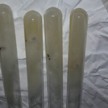 草菇5~6cm以上