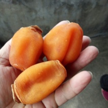 柿饼1~2两
