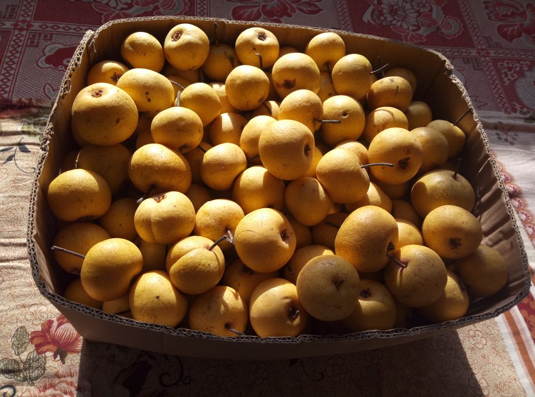 酸梨干成品展示