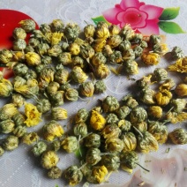 胎菊王散装