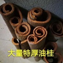 薄肉桂散装统货