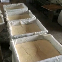豆腐湿豆腐