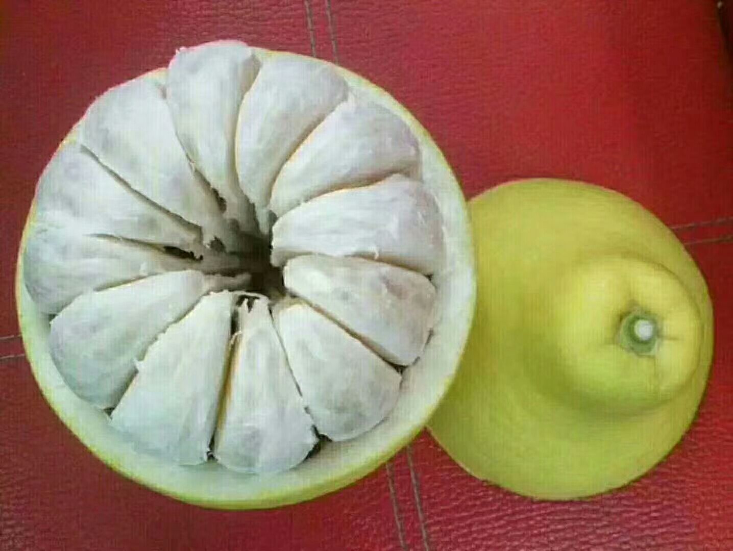 沙田柚果肉切片摆盘