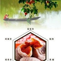 柿饼1~2两