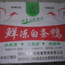 白条鸭
