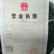 菊花茶一级