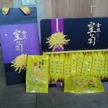 菊花茶一级