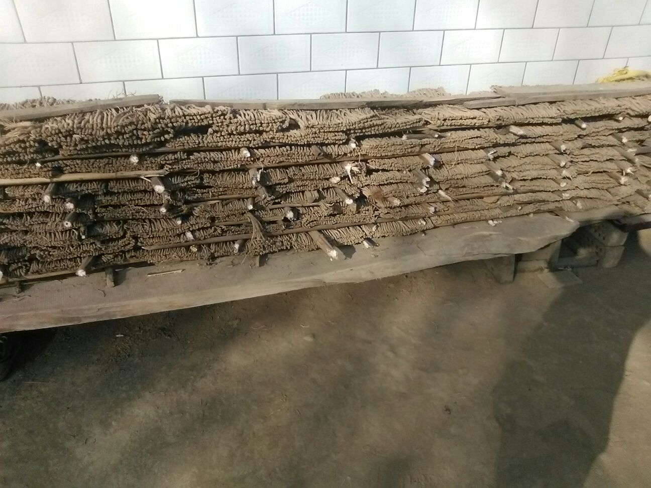 车前子与生姜药材图