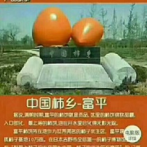柿饼1~2两