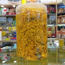 皇菊茶金丝皇菊