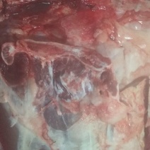 驴肉鲜货