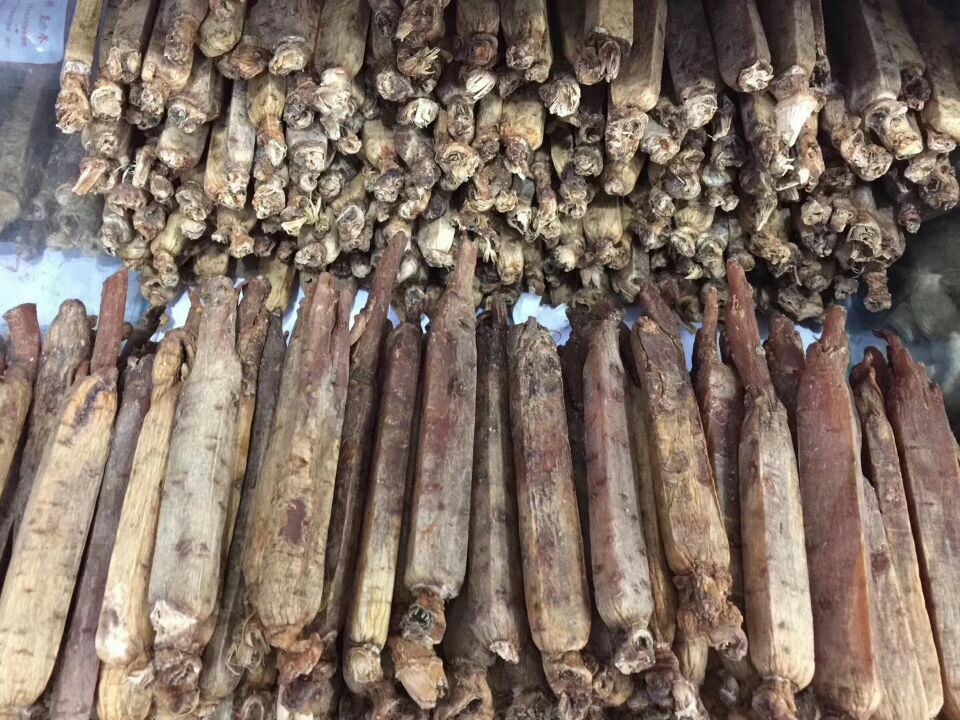 全球高丽参贸易流向图