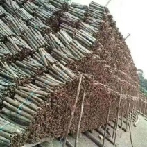 厚肉桂包装统货