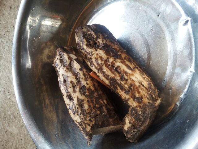 葛根与猪骨炖煮过程图,砂锅中汤水翻滚,葛根与猪骨交融,散发出清香 葛根与猪骨炖煮过程图