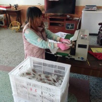 柿饼1两以下