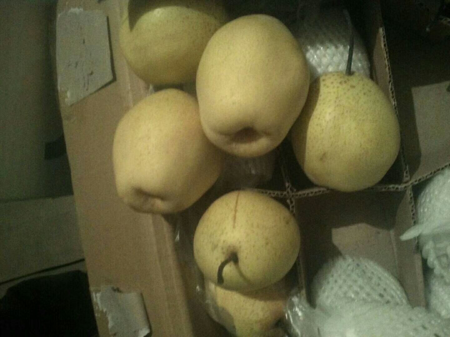 家庭冰箱中黄金梨正确存放示范图