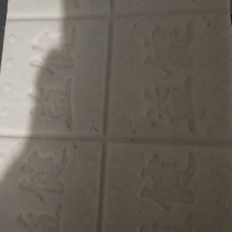 豆腐湿豆腐