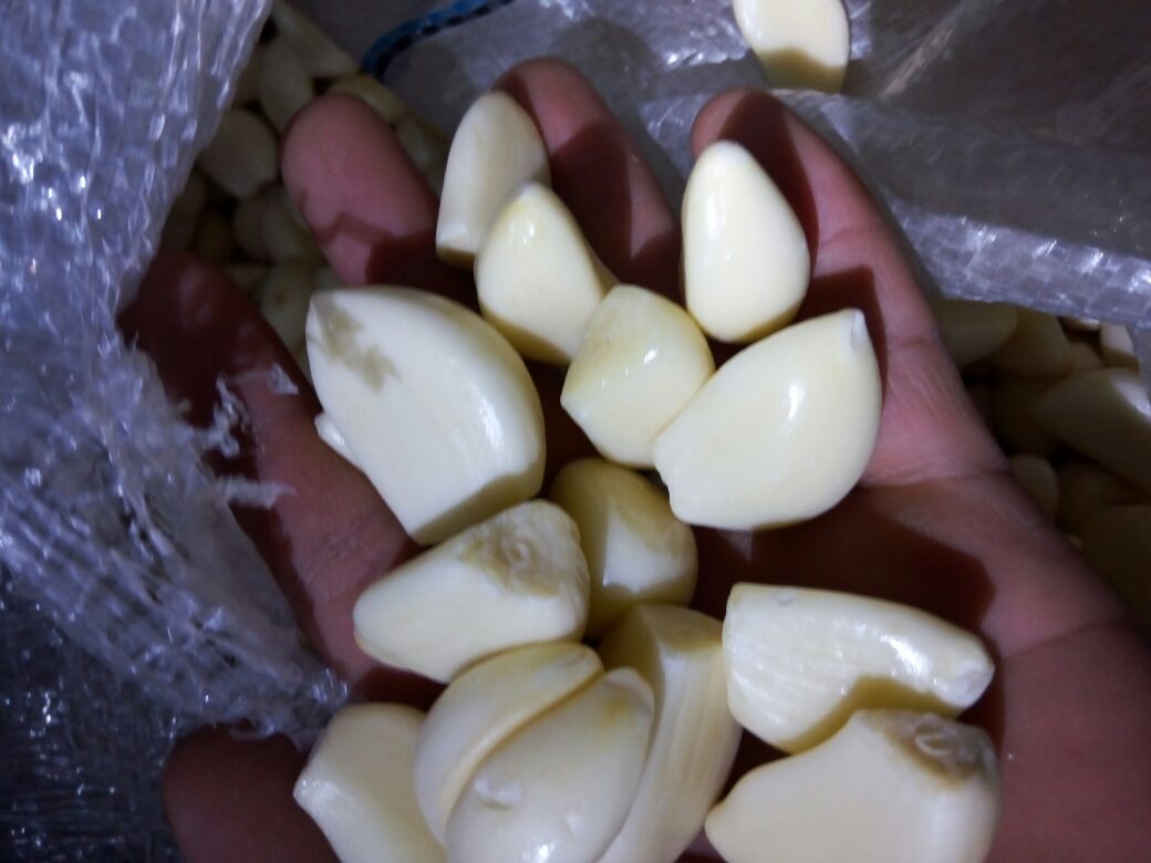 手剥大蒜的过程,展示蒜瓣被拍碎后去皮的步骤 剥蒜技巧