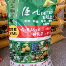 生物菌发酵大豆