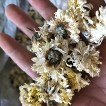 药用菊花袋装