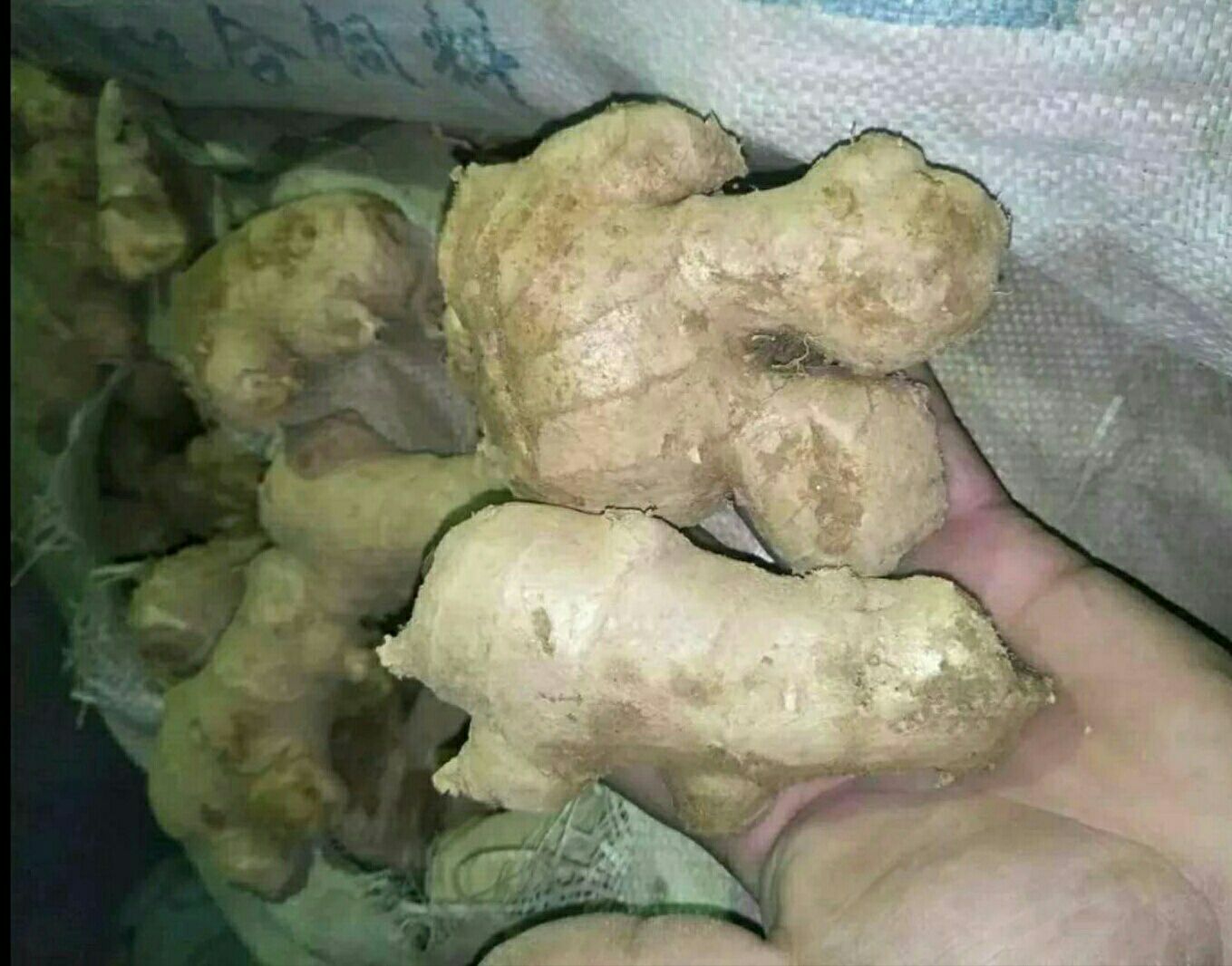 左侧为新鲜红姜横切面,可见淡黄色姜肉与紫红色芽心;右侧为用米醋浸泡24小时后的红姜片,颜色更加鲜亮,呈玫瑰红色,容器为透明玻璃罐,背景为中式厨房环境 红姜切片与醋泡红姜对比图