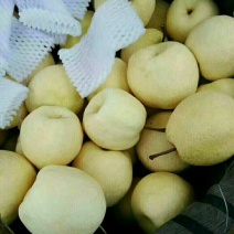 刺梨鲜