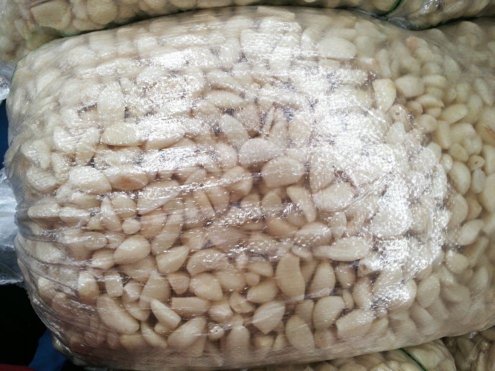 都市青年使用标准化包装的蓉蒜专用蒜米进行创意烹饪,突出产品包装设计、使用场景及代际传承感 现代都市厨房场景:年轻女性手持瓷勺舀取玻璃罐装‘蓉蒜专用蒜米’,罐身印有熊猫剪影与‘成都直供’字样;案板上摆着藤椒鸡、嫩豆腐、冰粉等食材,光影温暖,体现传统风味与新消费场景融合