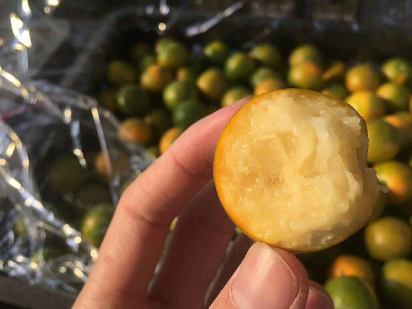 中年男性手部特写持金桔,强调‘男性日常食用场景’,突出数量(8颗)与带蒂完整性 男性手掌托起8颗完整金桔:手背显露青筋与轻微日晒痕迹,体现成年男性特征;金桔排列成弧形,每颗果实蒂部朝上,果皮反光自然,背景虚化为木质餐桌