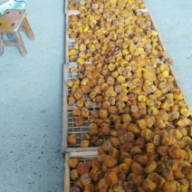 柿饼1~2两