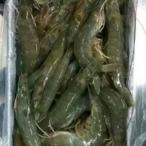 基围虾食用活虾