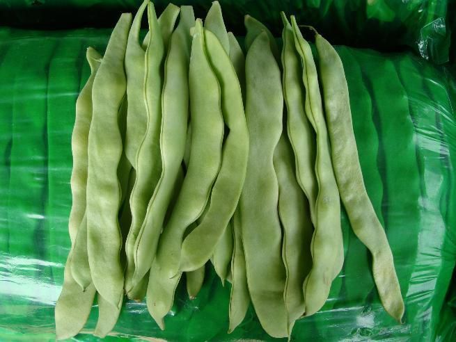 绿扁豆的挑选与储存指南