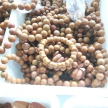 菜板可以