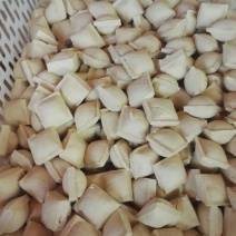 內脂豆腐湿豆腐