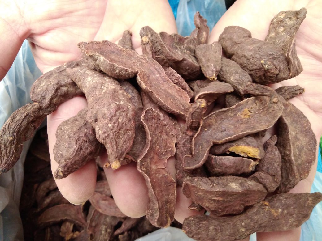 熟地黄与制何首乌在中医诊所的应用场景