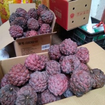 台湾释迦特级350~450g