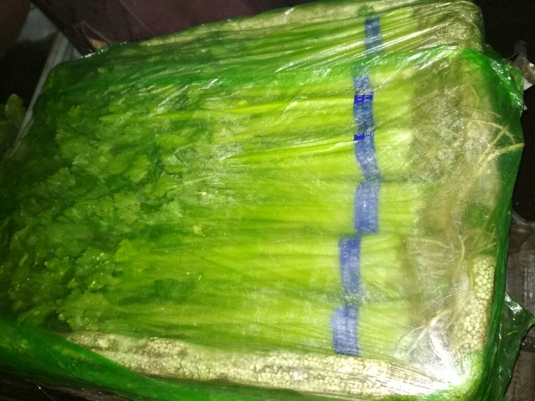 现代超市冷柜中整齐摆放的多个透明塑料盒装香草产品,每个盒子贴有标签,其中一盒明确标注‘欧芹(香芹)’并附带拉丁文学名 Petroselinum crispum,另一盒标注‘香菜(芫荽)’,背景可见其他香草如薄荷、罗勒。光线柔和,突出产品新鲜与标签清晰度 超市货架上的香草类产品陈列