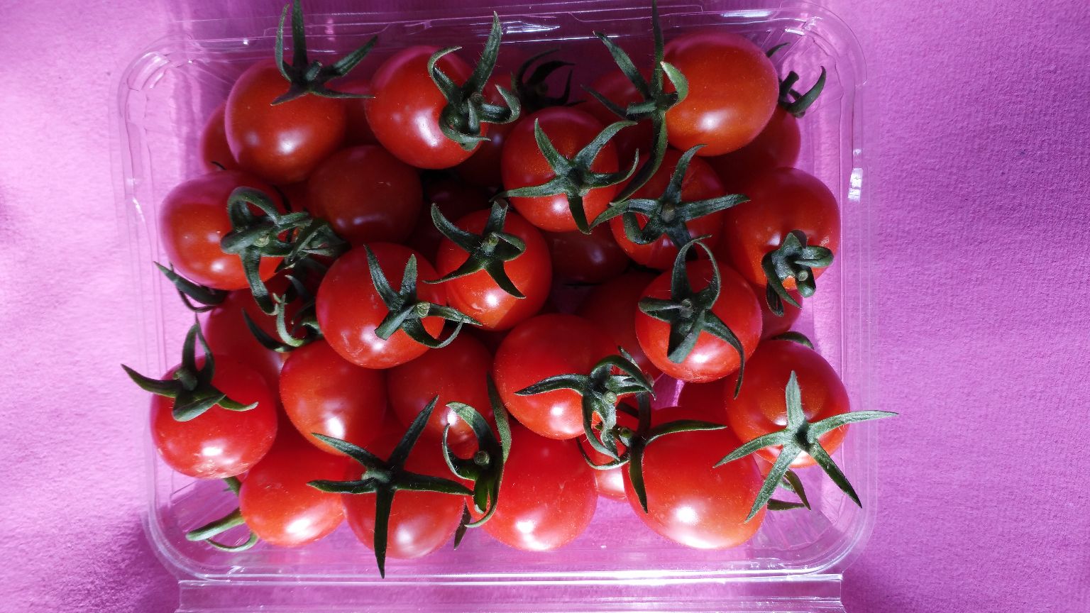 一组精心设计的釜山88圣女果礼盒陈列在木质桌面上,透明塑料盒内整齐摆放着鲜红饱满的小番茄,旁边配有品牌标签和绿色植物装饰,整体风格清新自然,适用于节日送礼或高端商超陈列 包装精美的釜山88圣女果礼盒展示