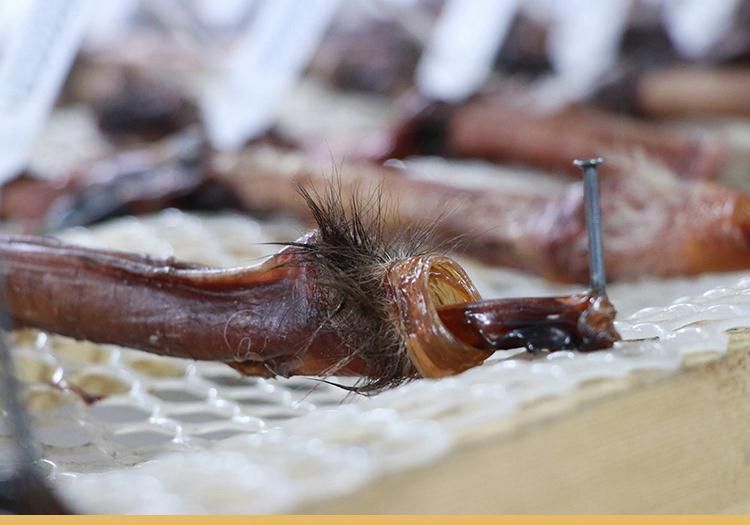 实验室环境中,技术人员正在操作高效液相色谱仪对鹿茸粉末样品进行成分分析,另一侧显微镜下观察鹿鞭组织切片,桌面上摆放带有二维码追溯标签的包装盒 鹿茸鹿鞭药材质量检测场景