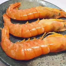 阿根廷红虾L1
