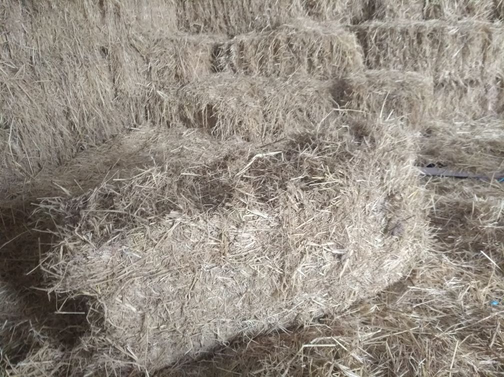 一座现代化的农业废弃物处理车间内,传送带正输送粉碎后的核桃青皮进入发酵槽,工人在控制台前监控数据,墙上挂有‘资源循环 创绿未来’标语 现代化青皮废弃物处理工厂内部场景