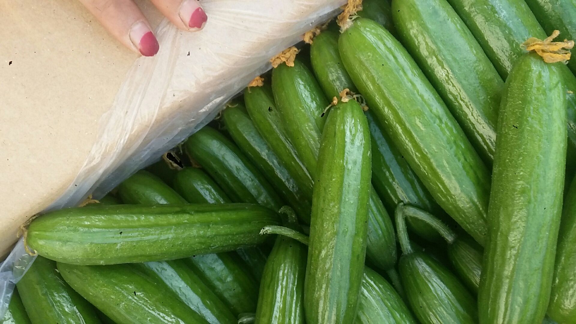 小黄瓜清洗与晾干