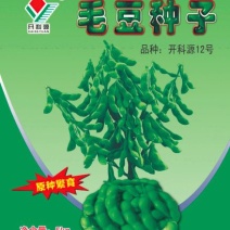 毛豆种子第三代开科源12号