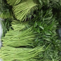 芦篙
