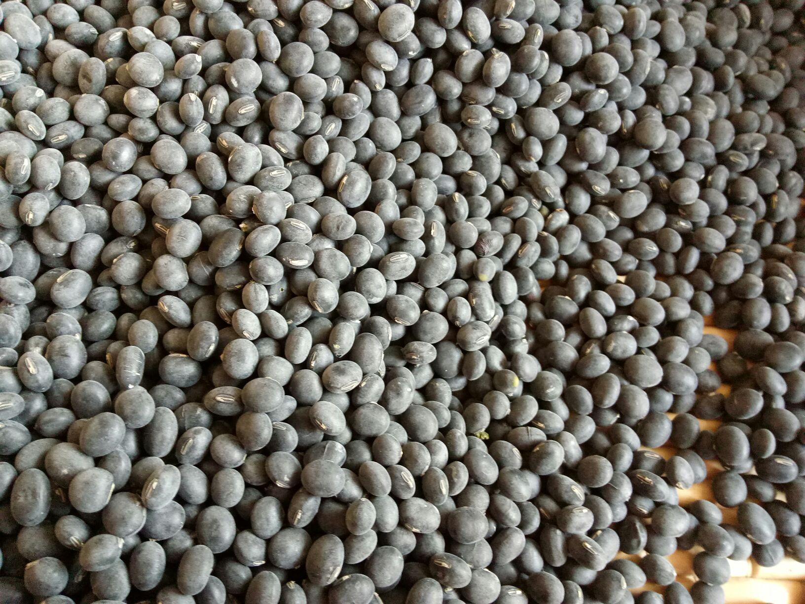 一个现代化的中国居民膳食宝塔图示,底层为谷薯类,第二层为蔬菜水果,第三层为鱼禽肉蛋,第四层左侧标注‘大豆及坚果’,其中特别突出黑芸豆图标,右侧为奶类,顶层为油盐;整体强调黑芸豆在合理膳食结构中的位置 营养膳食金字塔示意图