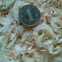 虾干一级