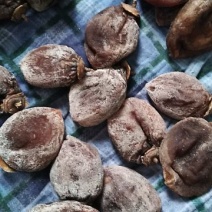 柿饼1~2两