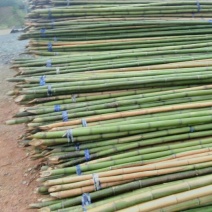 【蔬菜竹架】竹竿菜架竹果树支撑架大棚竹基地直发对接全国