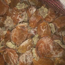 柿饼1两以下