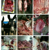 驴肉鲜货